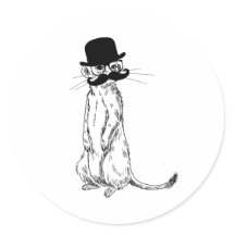 Meerkat unter Abdeckung