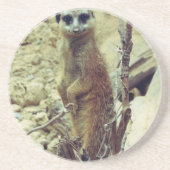 Meerkat Untersetzer (Vorne)