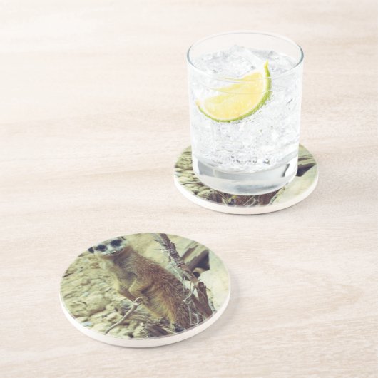 Meerkat Untersetzer (Seite)