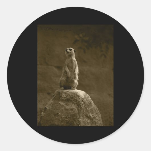 Meerkat Valencia Tint Vertikaler Sticker (Vorderseite)