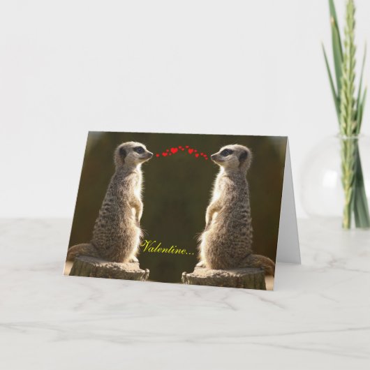 Meerkat Valentine Card 004 Feiertagskarte (Vorderseite)