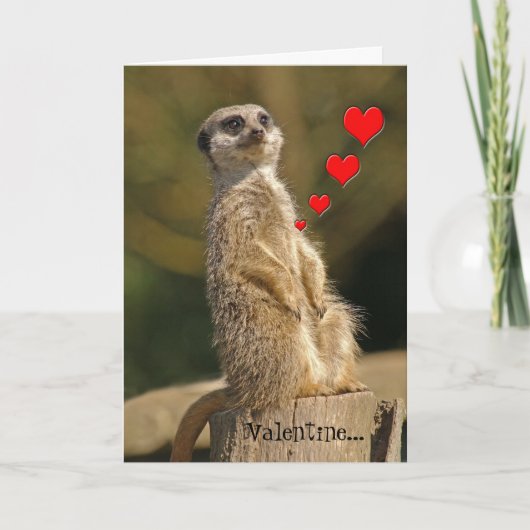 Meerkat Valentine Card 007 Feiertagskarte (Vorderseite)