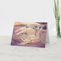 Meerkat vermisst Sie Gruß-Karte