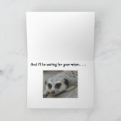 Meerkat Vermisst You Card Karte (Innenseite)