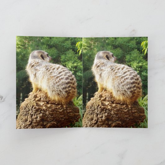 Meerkat Vermisst You, Karte (Innenseite)