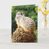 Meerkat Vermisst You, Karte (Gelbe Blume)