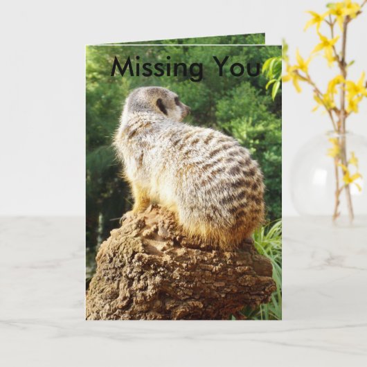 Meerkat Vermisst You, Karte (Gelbe Blume)