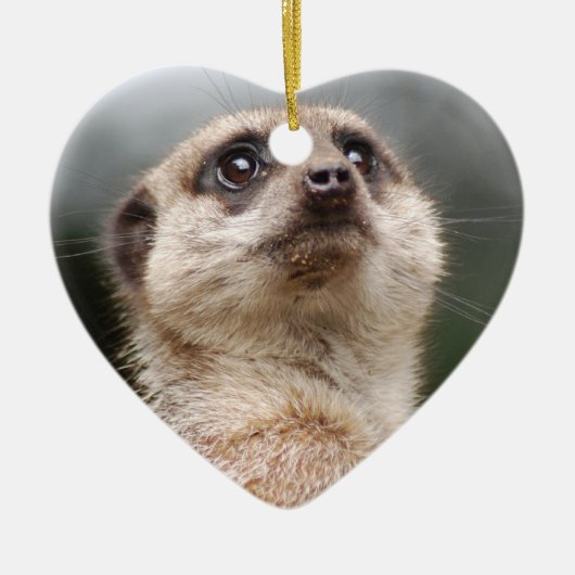 Meerkat Verzierung Keramikornament (Vorne)