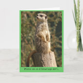 Meerkat wachsame Karte (Vorderseite)