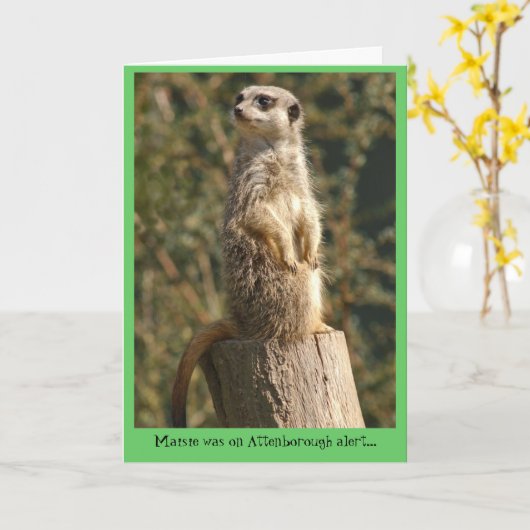 Meerkat wachsame Karte (Gelbe Blume)