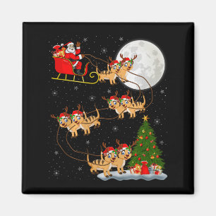 Meerkat Weihnachtsmann Schlitten Fliegend Lustiger Magnet