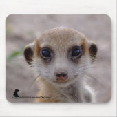 Meerkat Welpe Mousepad (Vorne)