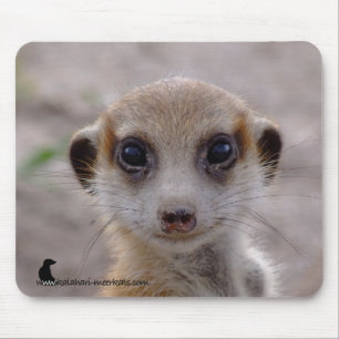 Meerkat Welpe Mousepad