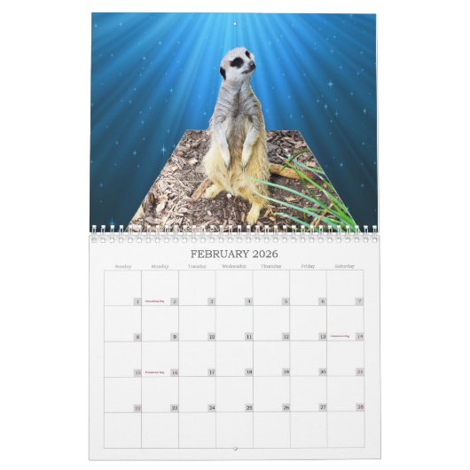 Meerkat With Style USA Holidays 2019, Kalender (Feb 2026)