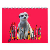 Meerkat With Style USA Holidays 2019, Kalender (Titelbild)