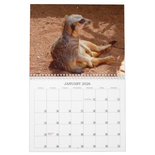 Meerkat With Style USA Holidays 2019, Kalender (Jan 2026)