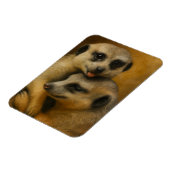 Meerkat-Zuneigung Magnet (Linke Seite)