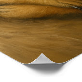 Meerkat-Zuneigung Poster (Ecke)