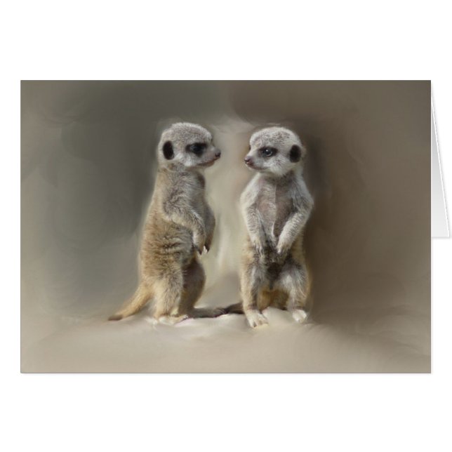 Meerkat-Zwillinge (Vorderseite (Horizontal))