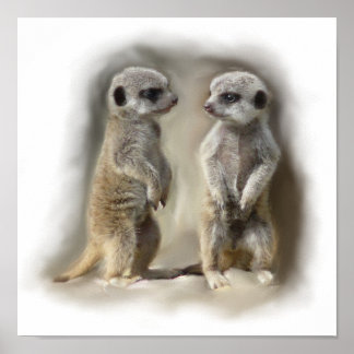 Meerkat-Zwillinge Poster