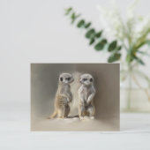 Meerkat-Zwillinge Postkarte (Stehend Vorderseite)