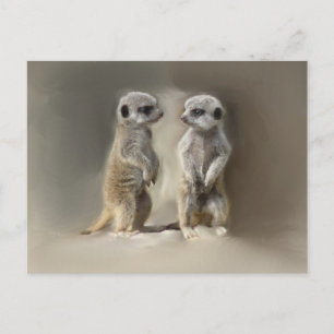 Meerkat-Zwillinge Postkarte