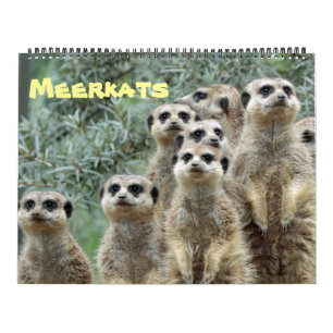Meerkats 001 kalender