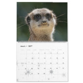 Meerkats 001 kalender (Mär 2027)