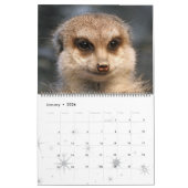 Meerkats 001 kalender (Jan 2026)
