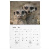 Meerkats 001 kalender (Feb 2026)
