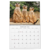 Meerkats 002 kalender (Feb 2027)