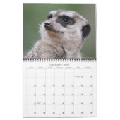 Meerkats 002 kalender (Jan 2027)