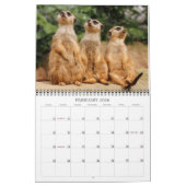 Meerkats 002 kalender (Feb 2026)