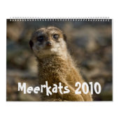 Meerkats 2010 Kalender (Titelbild)
