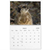 Meerkats 2010 Kalender (Mär 2026)