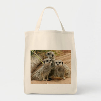 Meerkats auf der Bio Tasche des Ausblickes