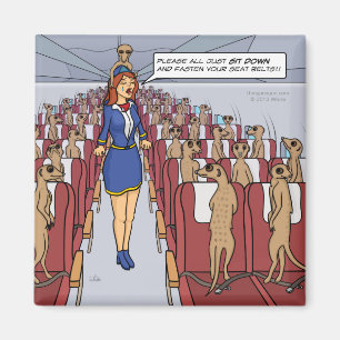 Meerkats auf einem Flugzeug Magnet