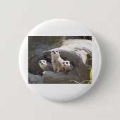 Meerkats Button (Vorderseite)