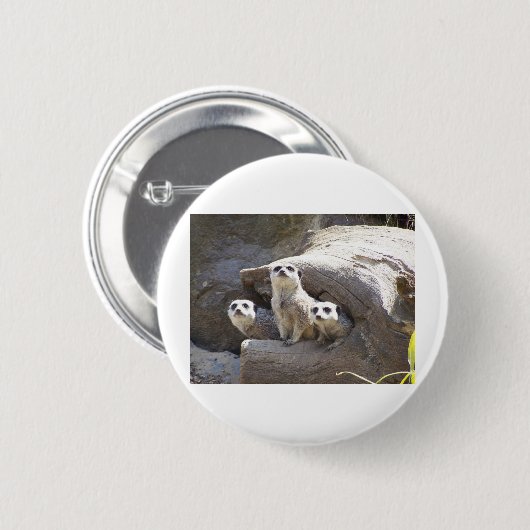 Meerkats Button (Vorne & Hinten)