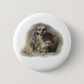 meerkats button (Vorderseite)
