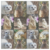 Meerkats FotoCollage Combed Cotton Material Stoff (Nahaufnahme)