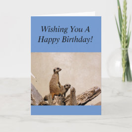 Meerkats Glücklich Geburtstag Gruß! Karte