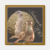 Meerkats Indianapolis Zoo Magnet (Vorne)