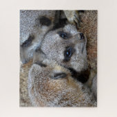 Meerkats Jigsaw Puzzle (Vertikal)