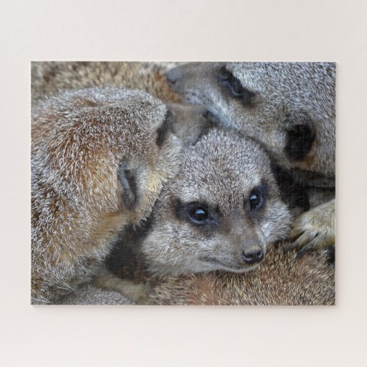 Meerkats Jigsaw Puzzle (Horizontal)
