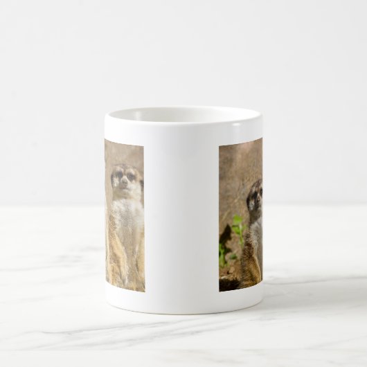 Meerkats Kaffeetasse (Mittel)