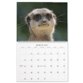 Meerkats Kalender (Mär 2027)