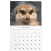 Meerkats Kalender (Jan 2027)
