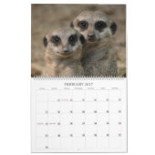 Meerkats Kalender (Feb 2027)