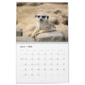 Meerkats Kalender (Mär 2026)